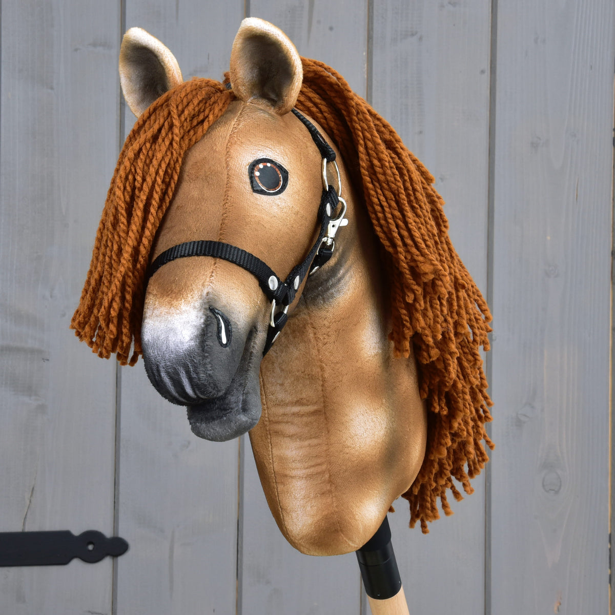 Hobby Horse Ivy