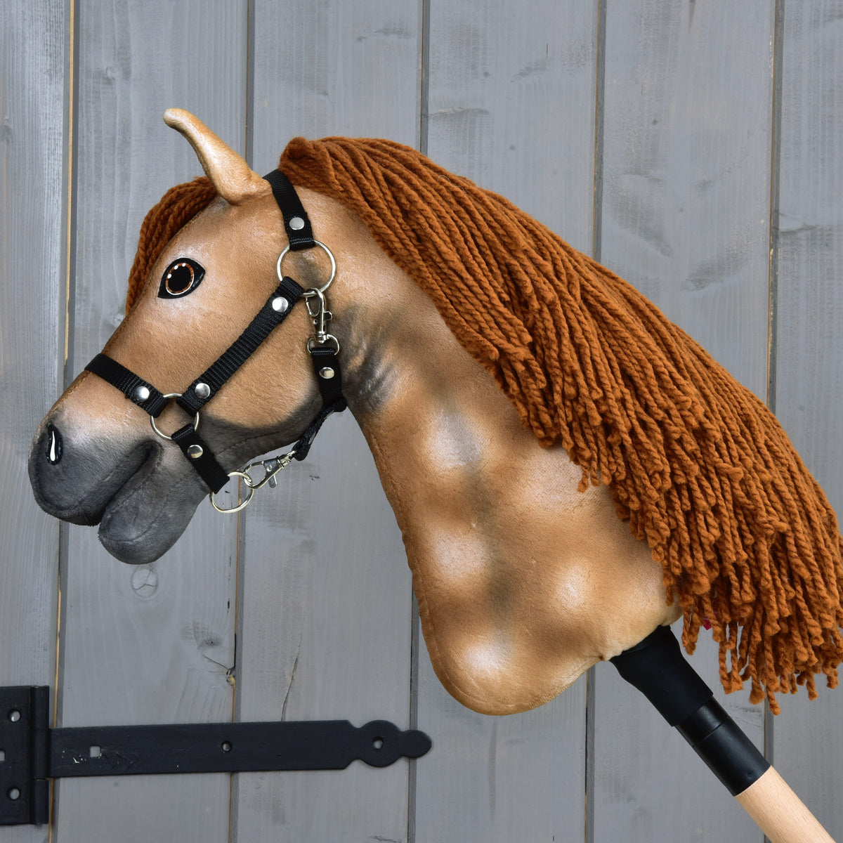 Hobby Horse Ivy