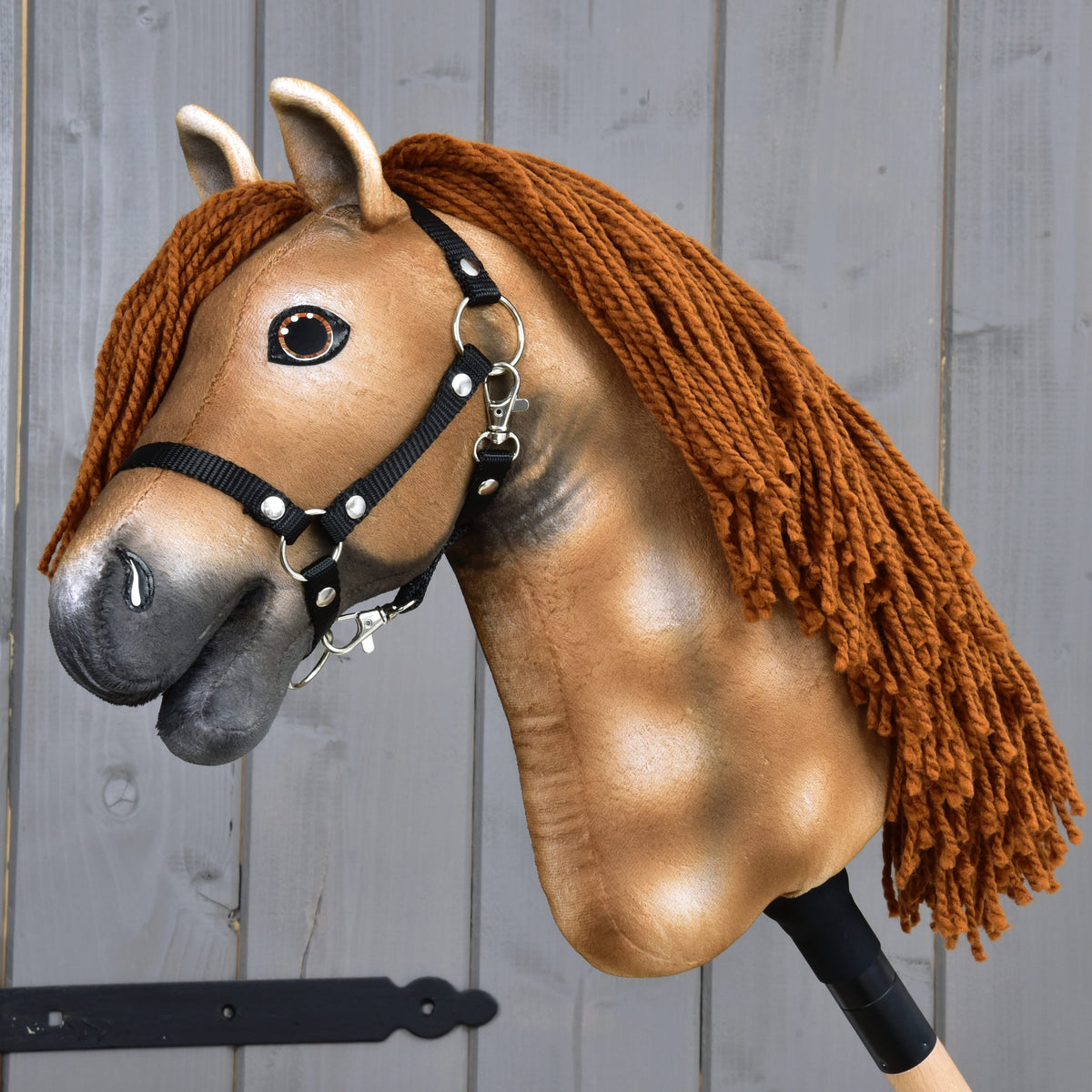 Hobby Horse Ivy