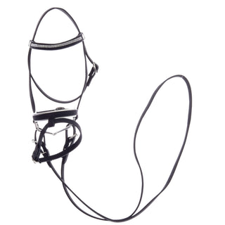 Complete De Luxe bridle with 2 browbands