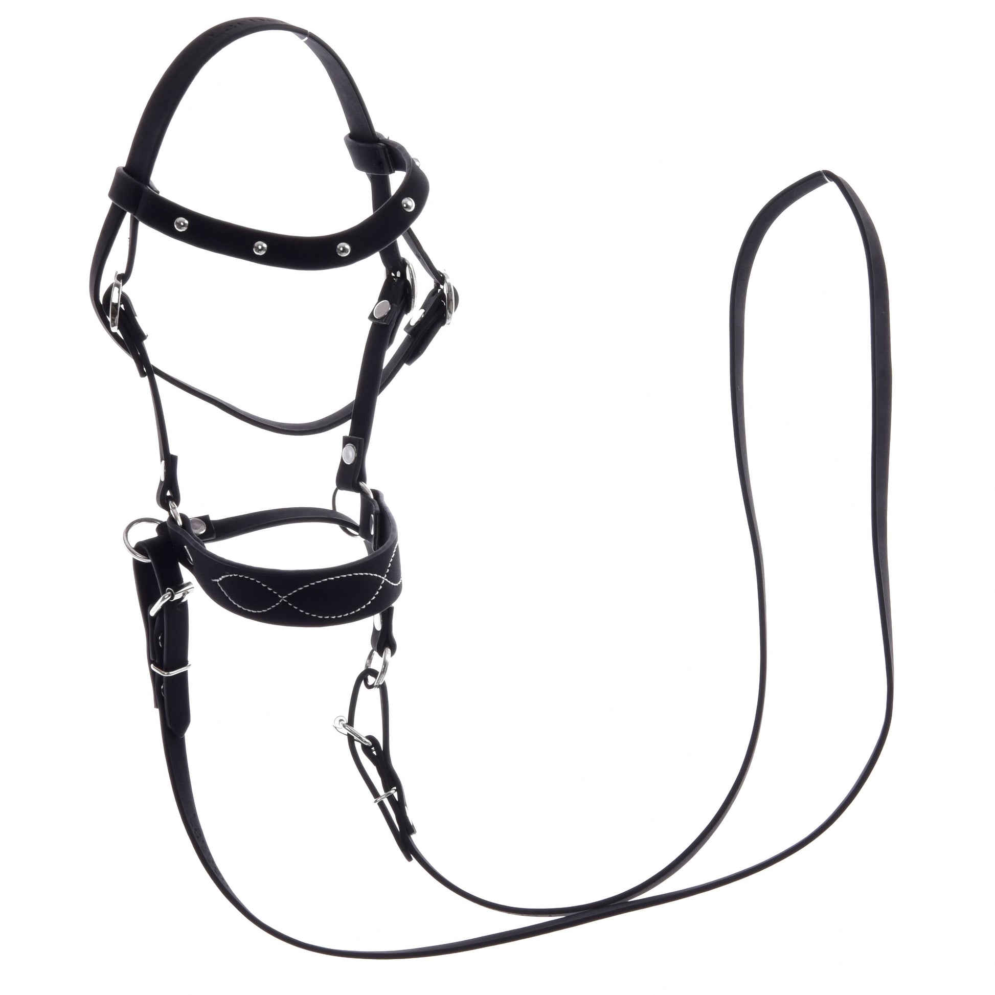 Complete bitless bridle, decorated