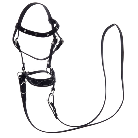 Complete bitless bridle, decorated