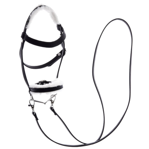 Complete bridle with fur