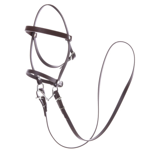 Complete bridle with noseband Light Brown