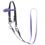 Complete bridle without noseband Light Purple