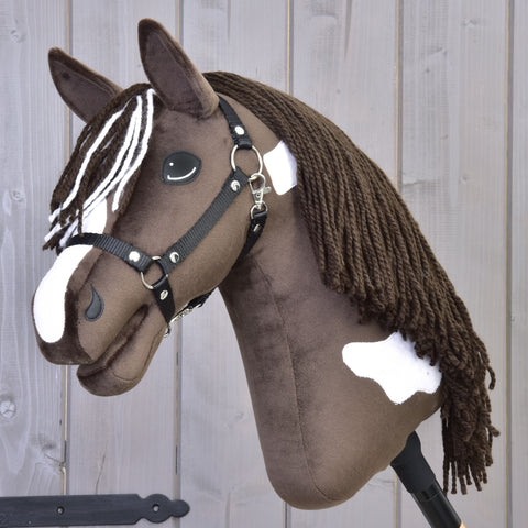 Hobby Horse Monte with Black Halter