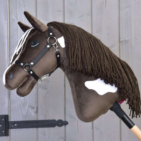 Hobby Horse Monte with Black Halter