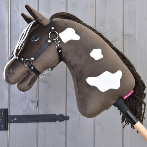 Hobby Horse Monte with Black Halter