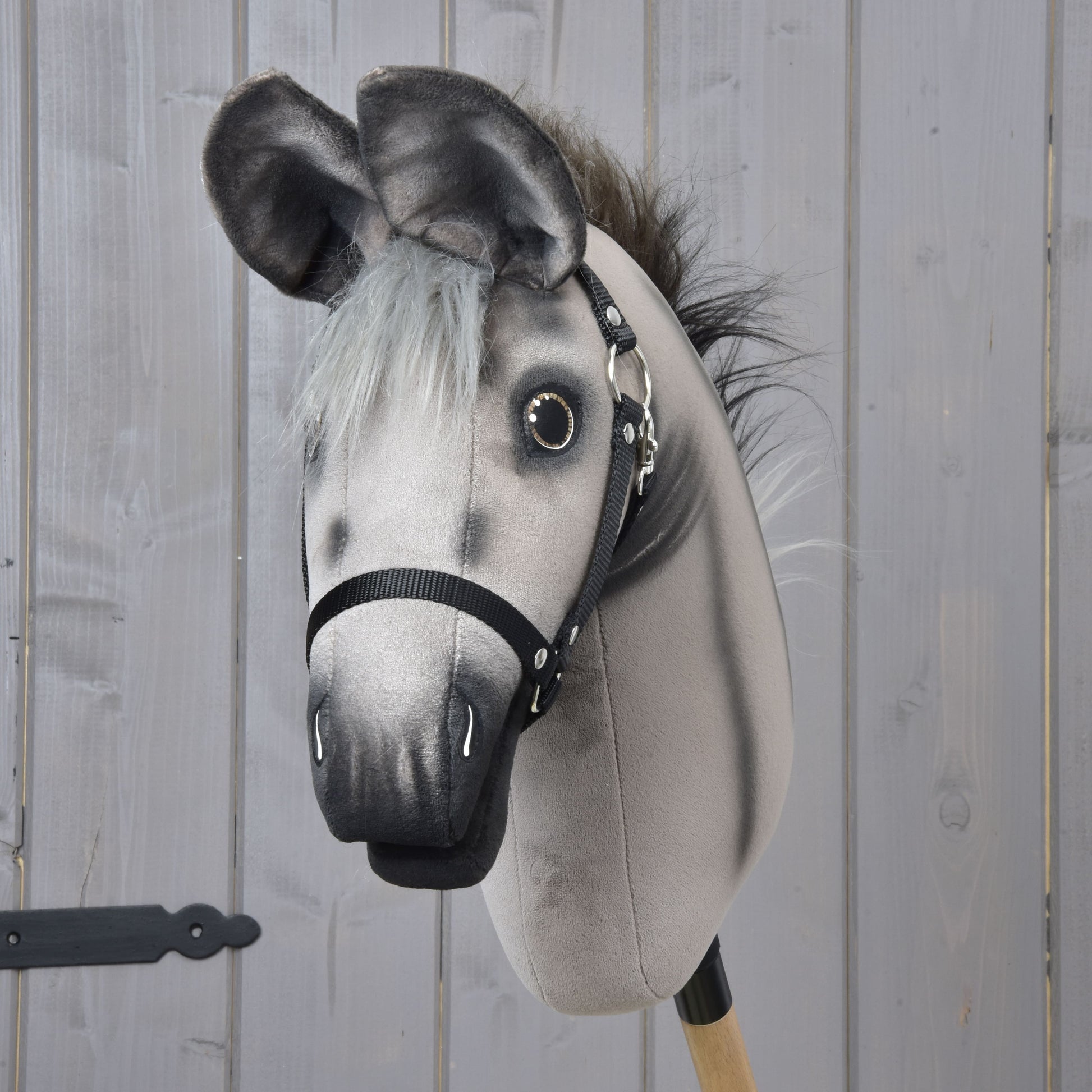 Hobby Horse Donkey Olin with Black Halter
