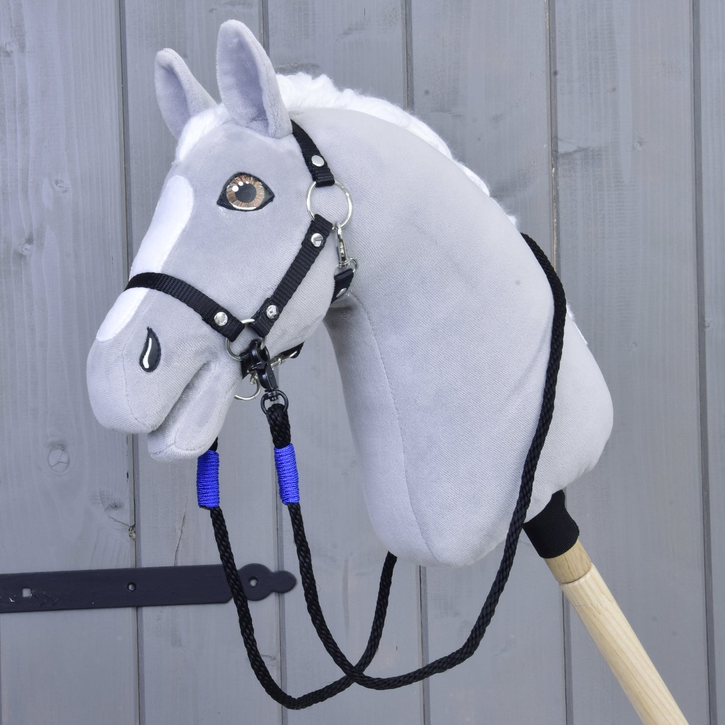 Reins Basic Blue 1