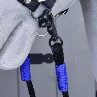 Reins Basic Blue
