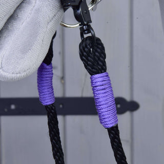 Reins Basic Lila
