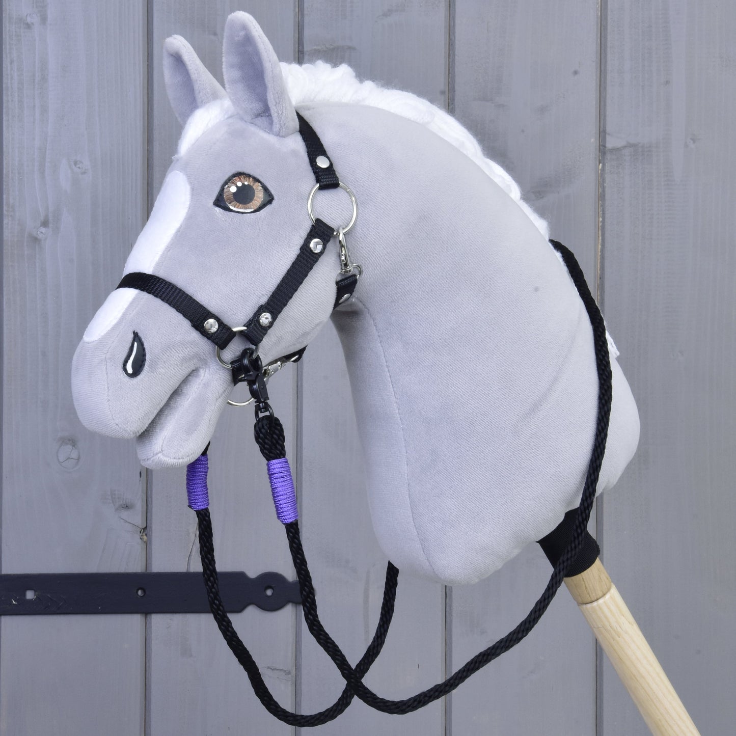 Reins Basic Lila 1