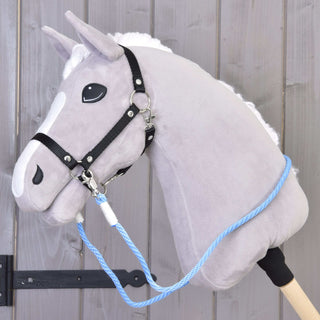 Reins Sky