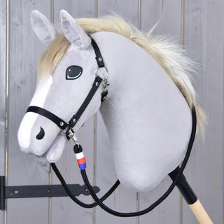 Reins Emblem CZ