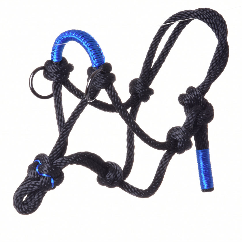 Rope halter Azure