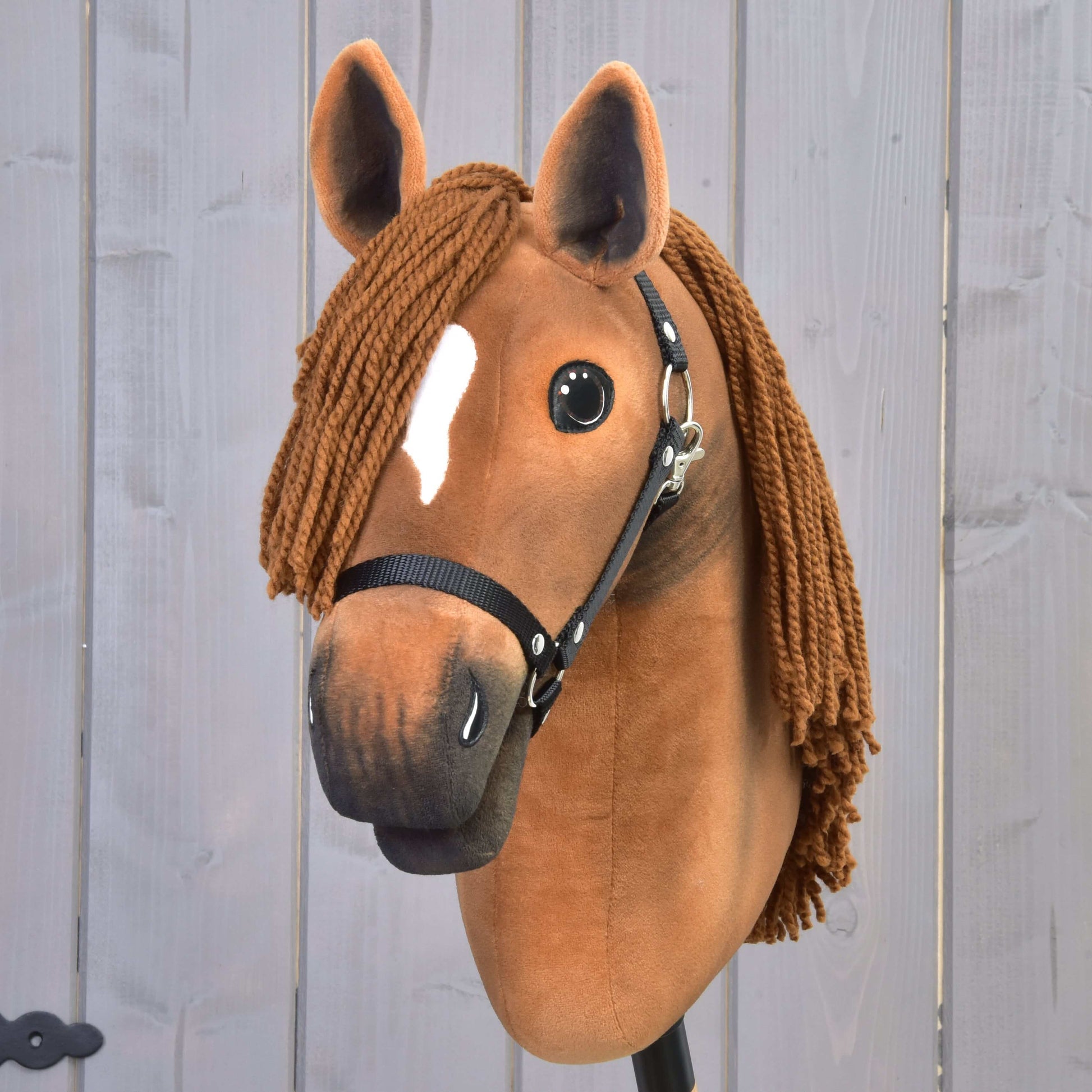 Hobby Horse Pippa with Black Halter