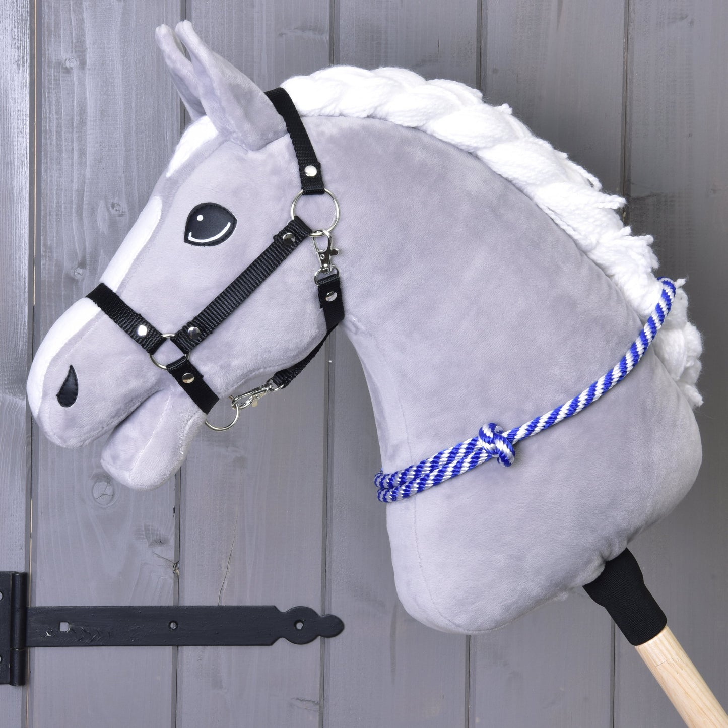 Cordeo blue stripe 1