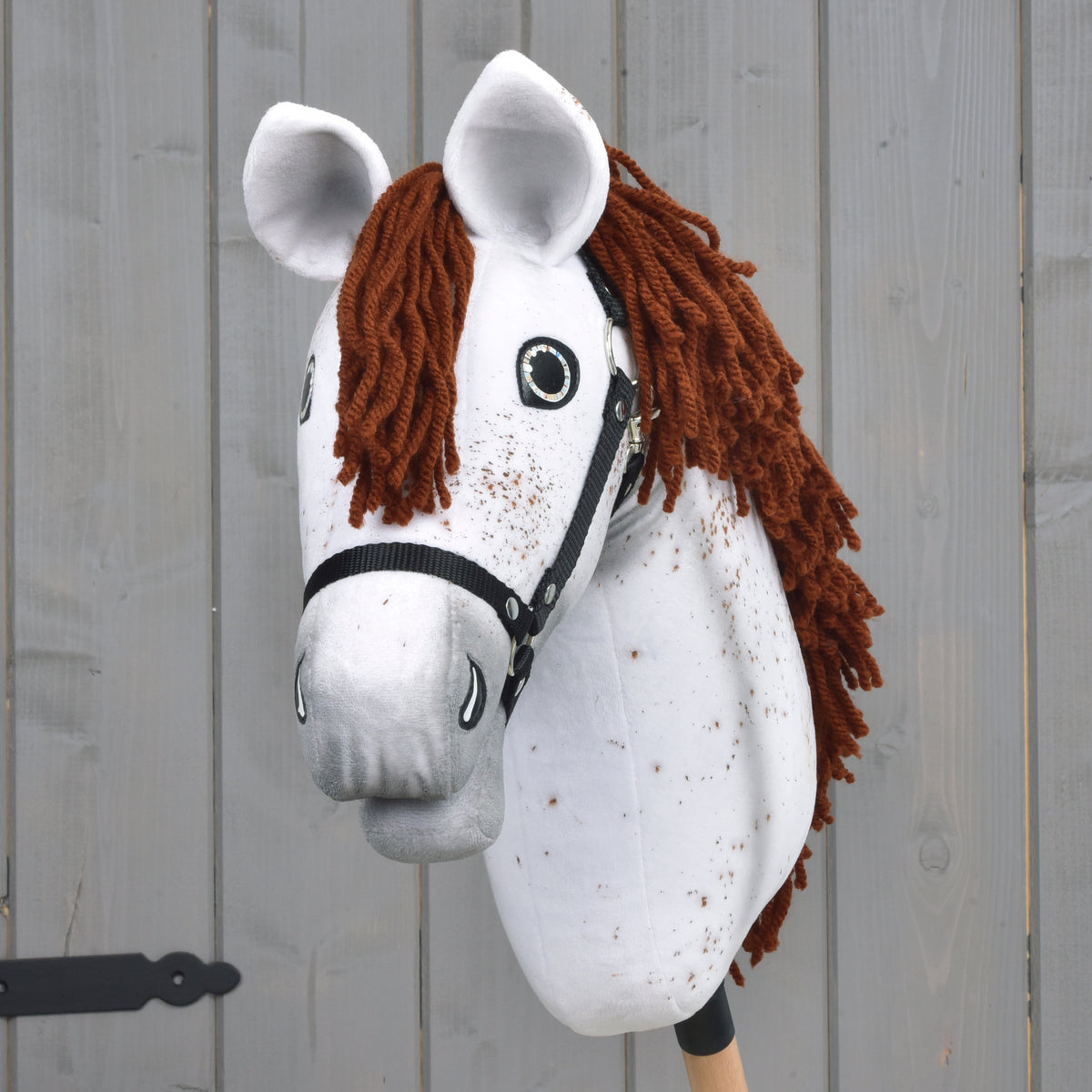 Front view of the white Hobby Horse with brown speckles, grey muzzle and black halter, red-brown forelock between the ears