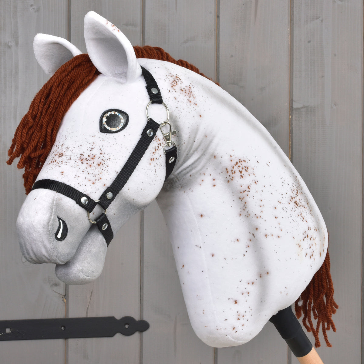Close-up of the white speckled Hobby Horse head and neck in a black halter with silver rings and a clip