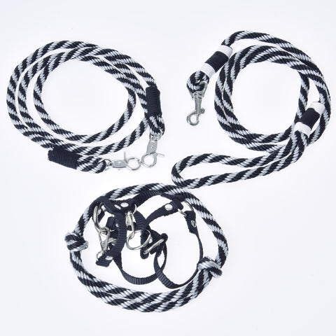 Set Start black (halter, leash, reins, cordeo)