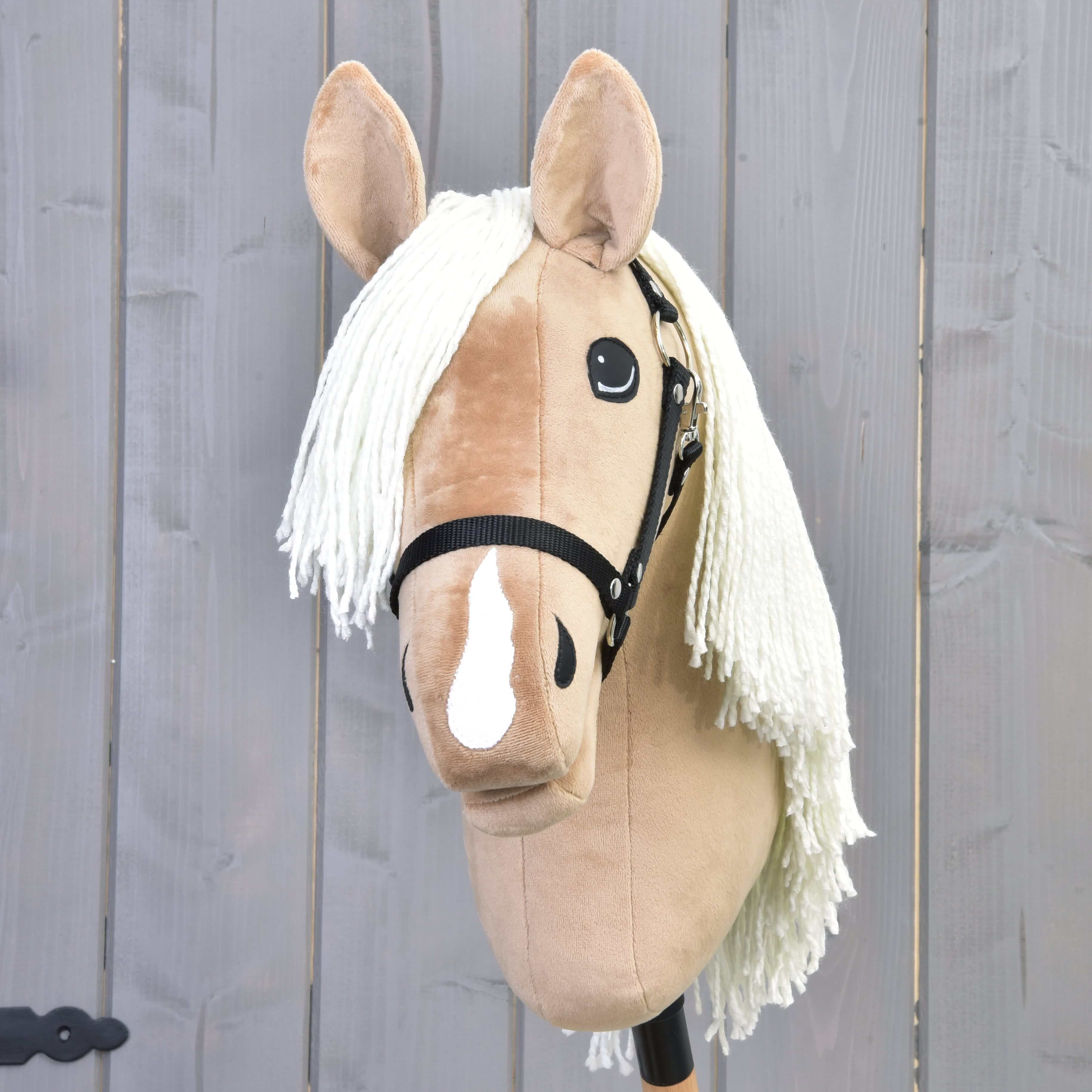 Couverture Cheval 400g Astuces Pour Parents : U00ab Mon Enfant Ne Comprend Pas Ce Qu'il Lit Couverture Cheval 400g Astuces Pour Parents : U00ab Mon Enfant Ne Comprend Pas Ce Qu'il Lit
