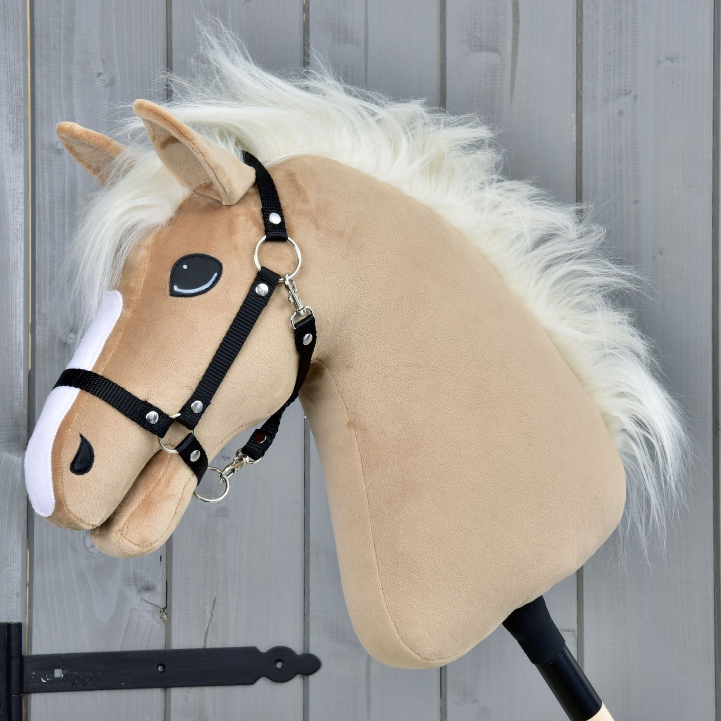 Hobby Horse Star with black halter