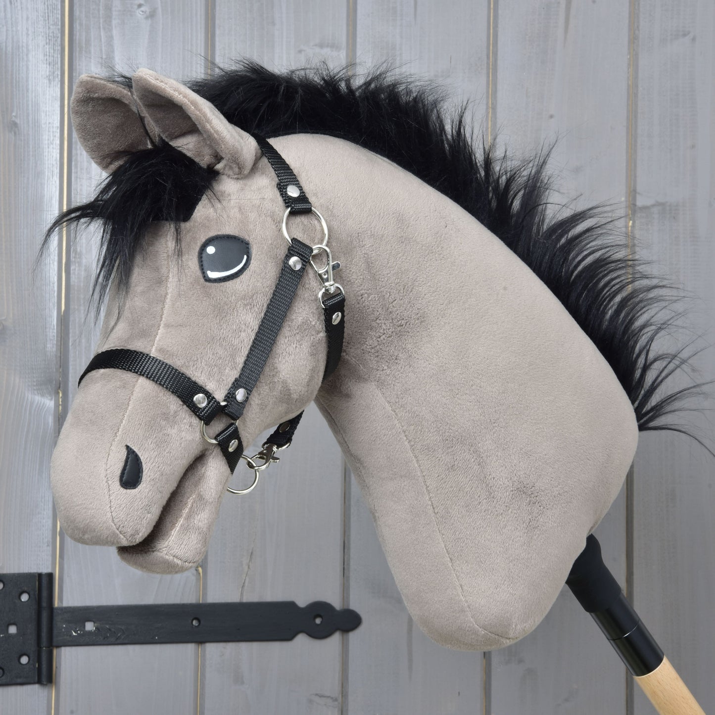 Hobby Horse Thor with Black Halter