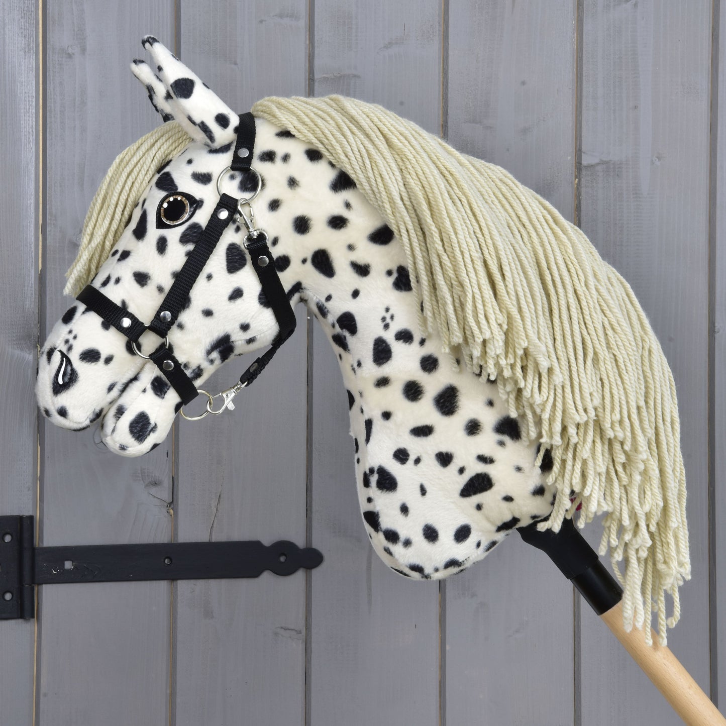 Hobby Horse Lord Valentine with Black Halter