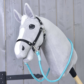Reins Atlantis