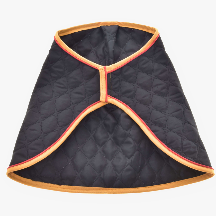 Blanket Flag