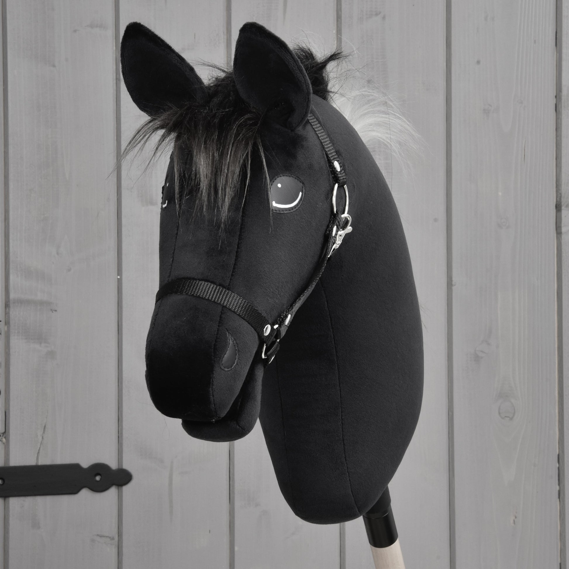 Hobby Horse Bond with Black Halter