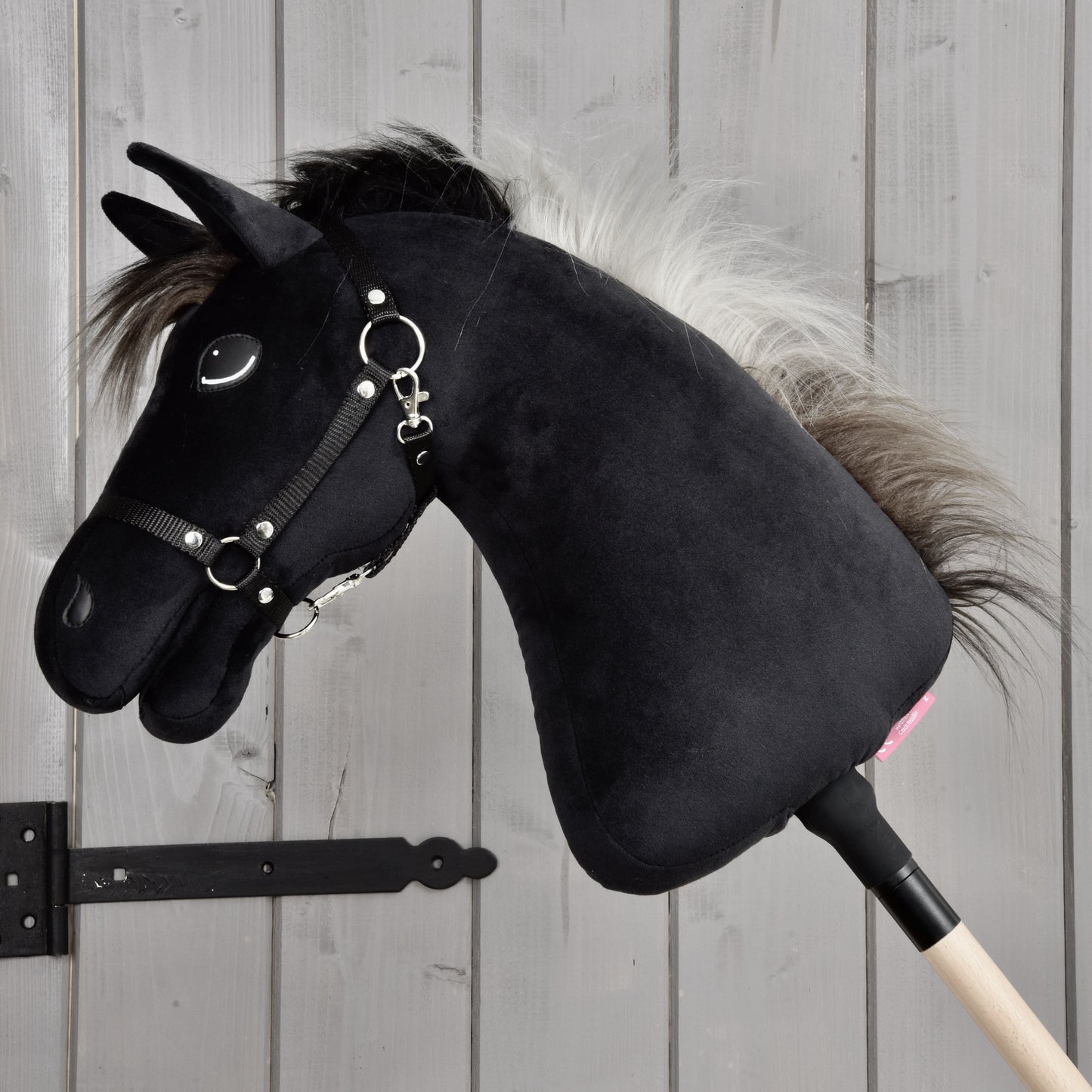 Hobby Horse Bond with Black Halter