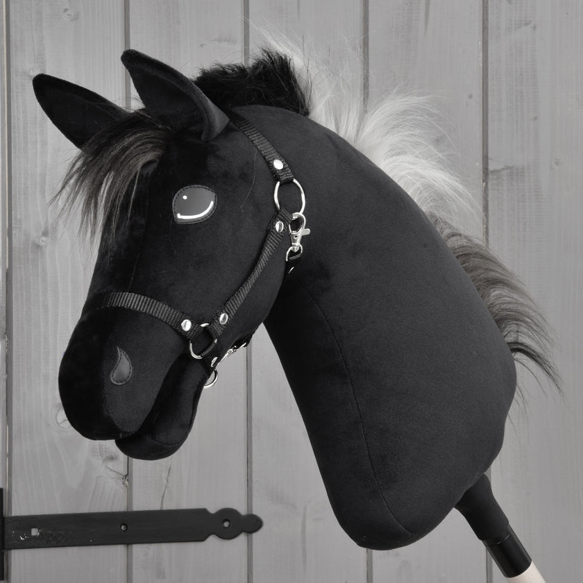 Hobby Horse Bond with Black Halter