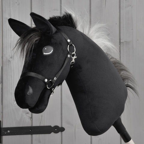 Hobby Horse Bond with Black Halter