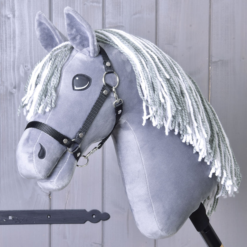 Hobby Horse Calypso with Black Halter