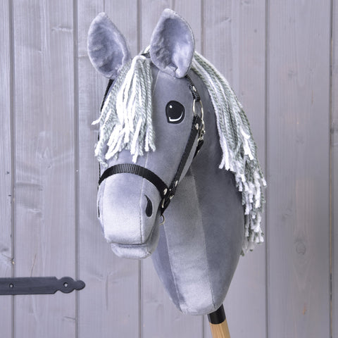 Hobby Horse Calypso with Black Halter