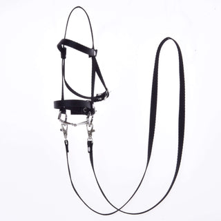 Black bridle with reins from strap II