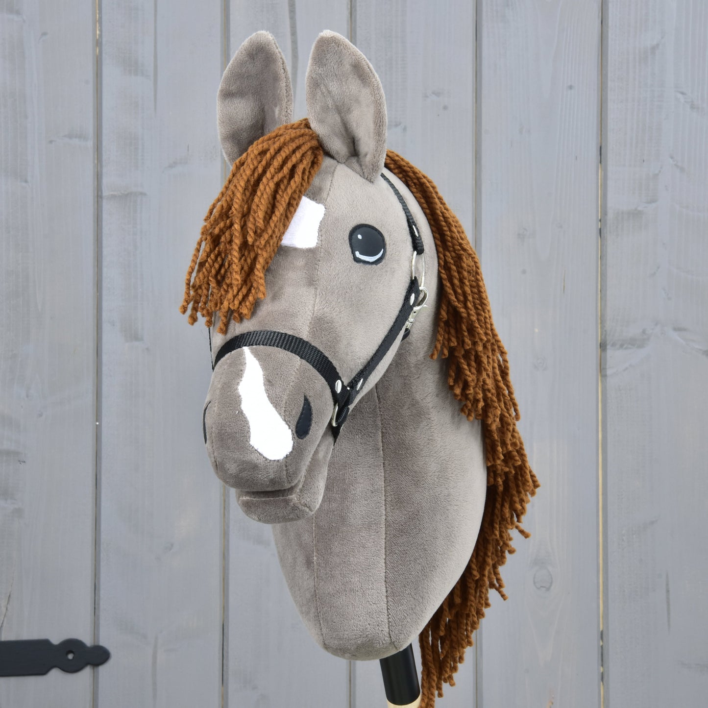 Hobby Horse Chanell with Black Halter