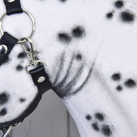 Hobby Horse Chantal with Black Halter