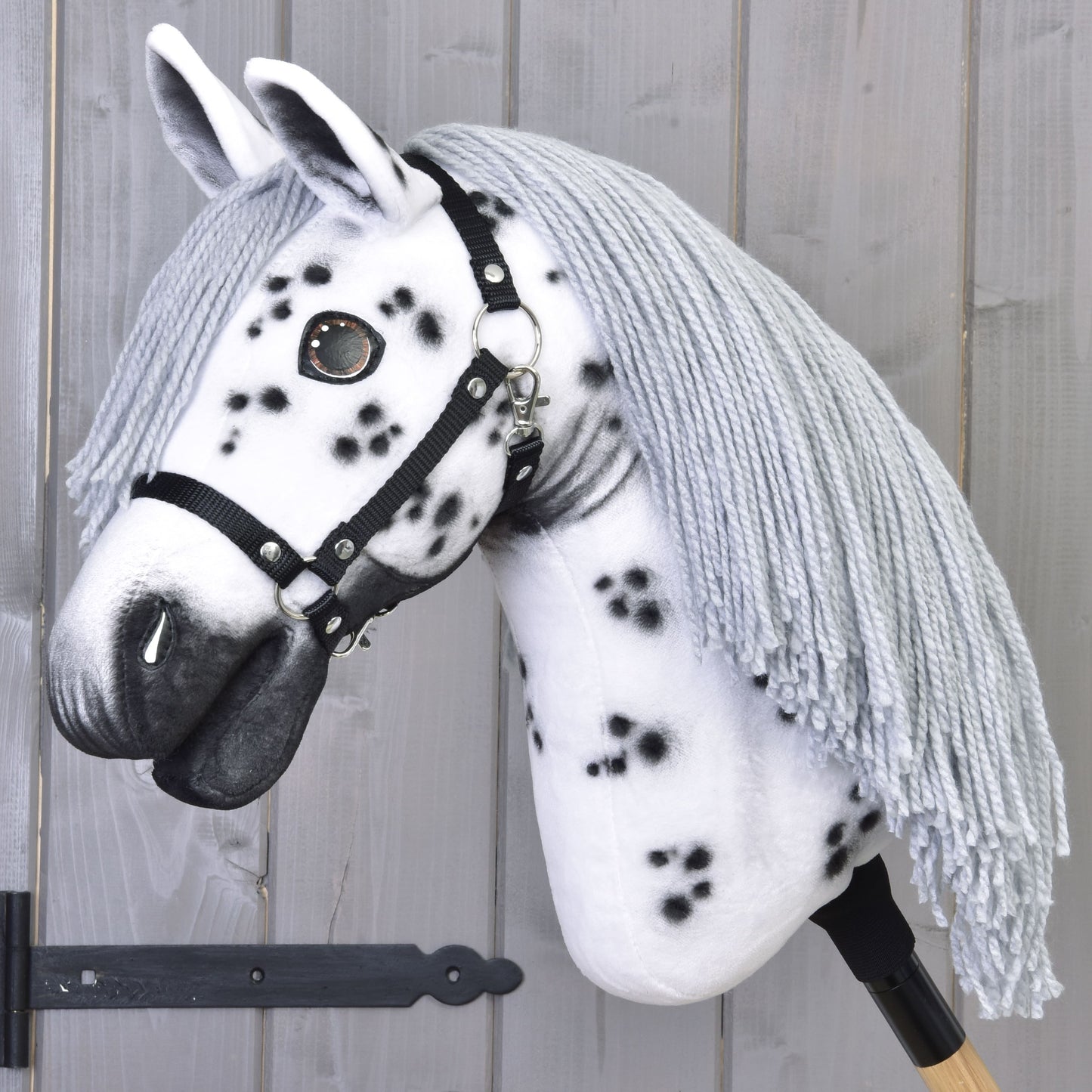 Hobby Horse Chantal with Black Halter