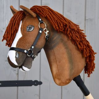 Hobby Horse Cooper with Black Halter