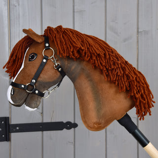 Hobby Horse Cooper with Black Halter