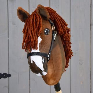 Hobby Horse Cooper with Black Halter