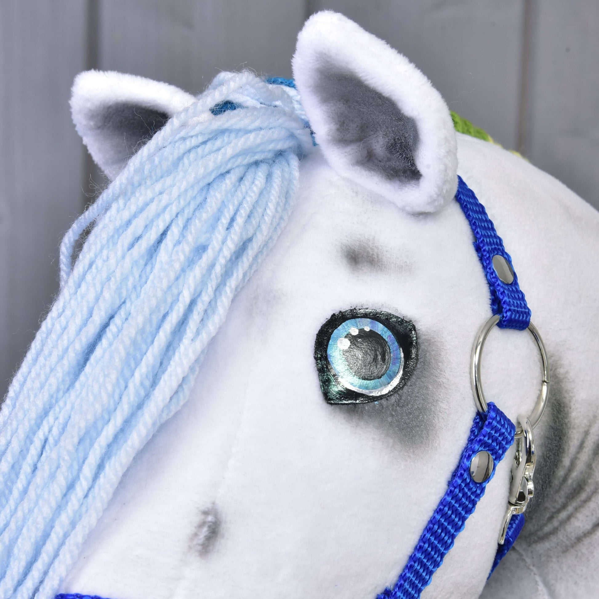 Hobby Horse Rainbow with Blue Halter