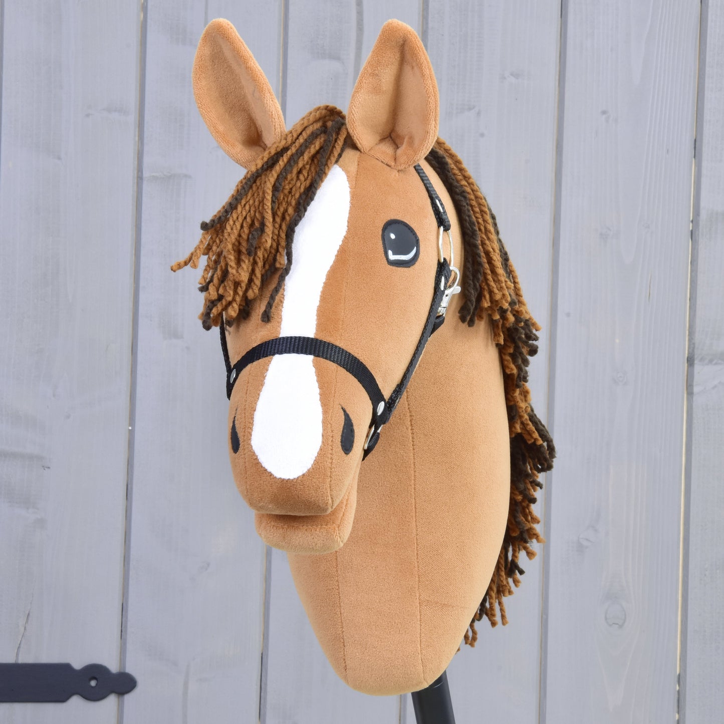 Hobby Horse Edward with Black Halter