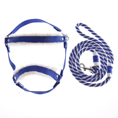 Set Essential Blue