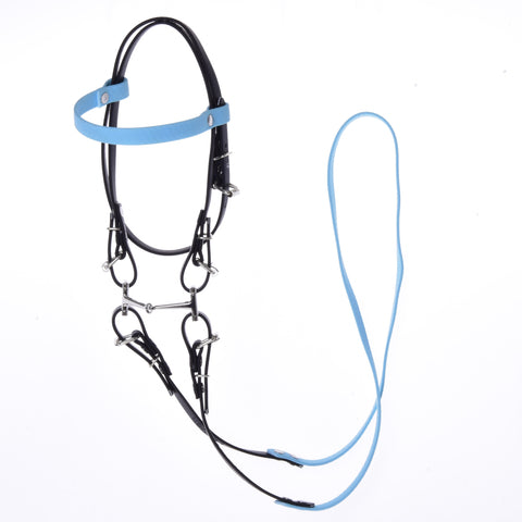 Complete bridle without noseband Light Blue