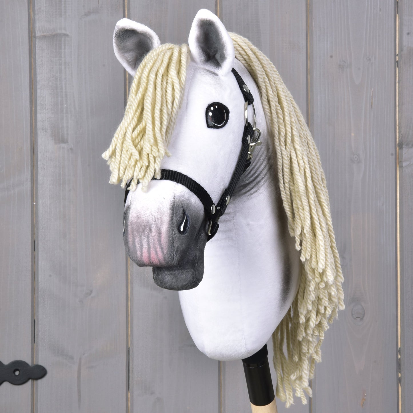 Hobby Horse Little Lady with Black Halter