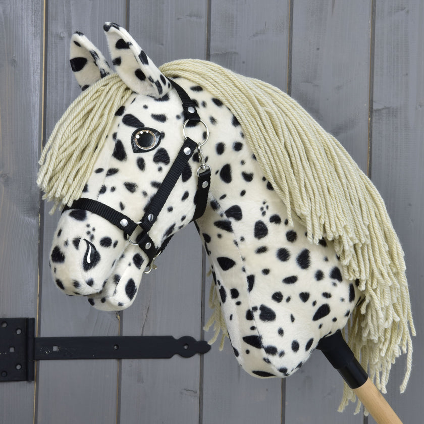 Hobby Horse Lord Valentine with Black Halter